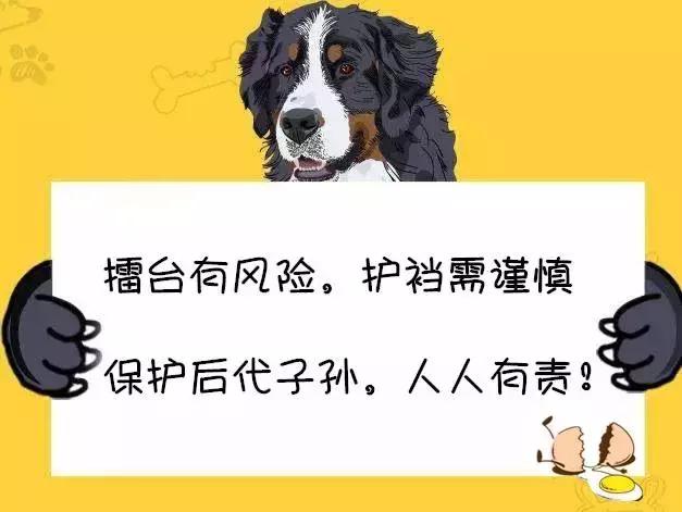 擂台被踢裆的选手后续,盘点擂台上被人羞辱的人