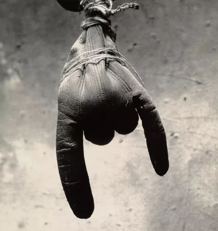 世界摄影大师经典作品欣赏,摄影100张世界摄影大师的黑白作品