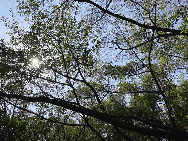 宝安跑步最佳地点,深圳宝安区跑步最佳地点