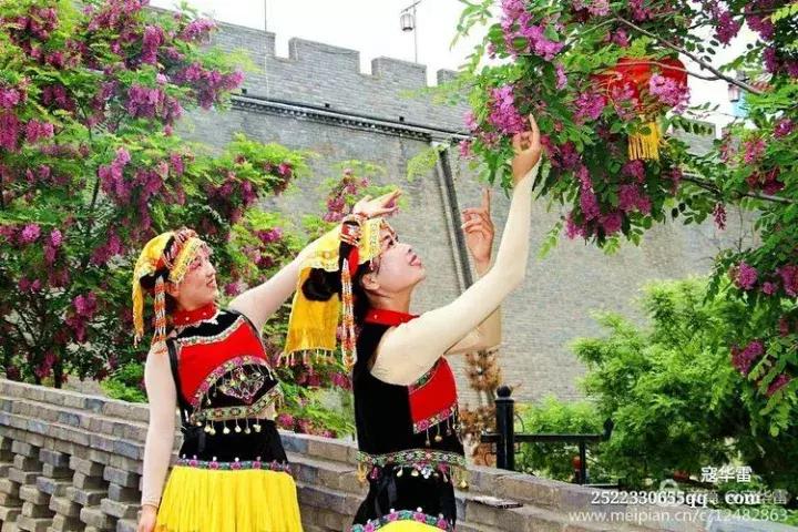 中国天然氧吧为什么是永寿,永寿槐林氧吧