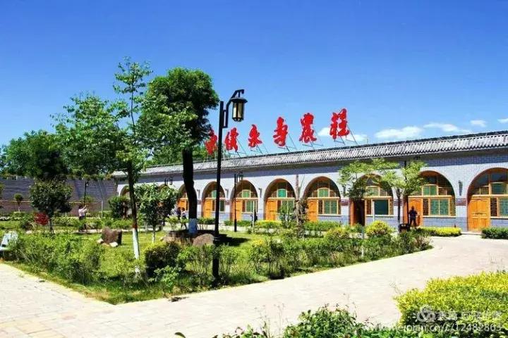 中国天然氧吧为什么是永寿,永寿槐林氧吧