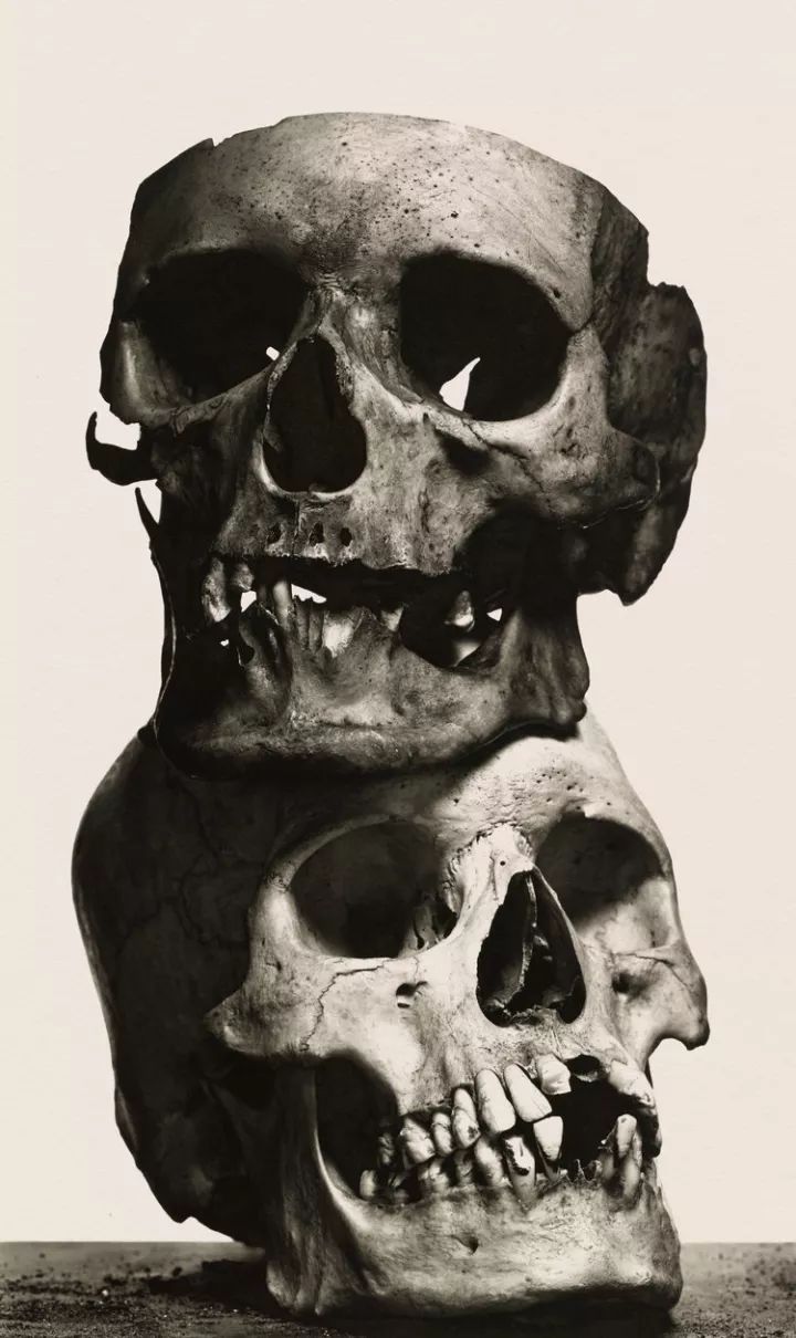 欧文佩恩摄影大师,欧文佩恩高清大图