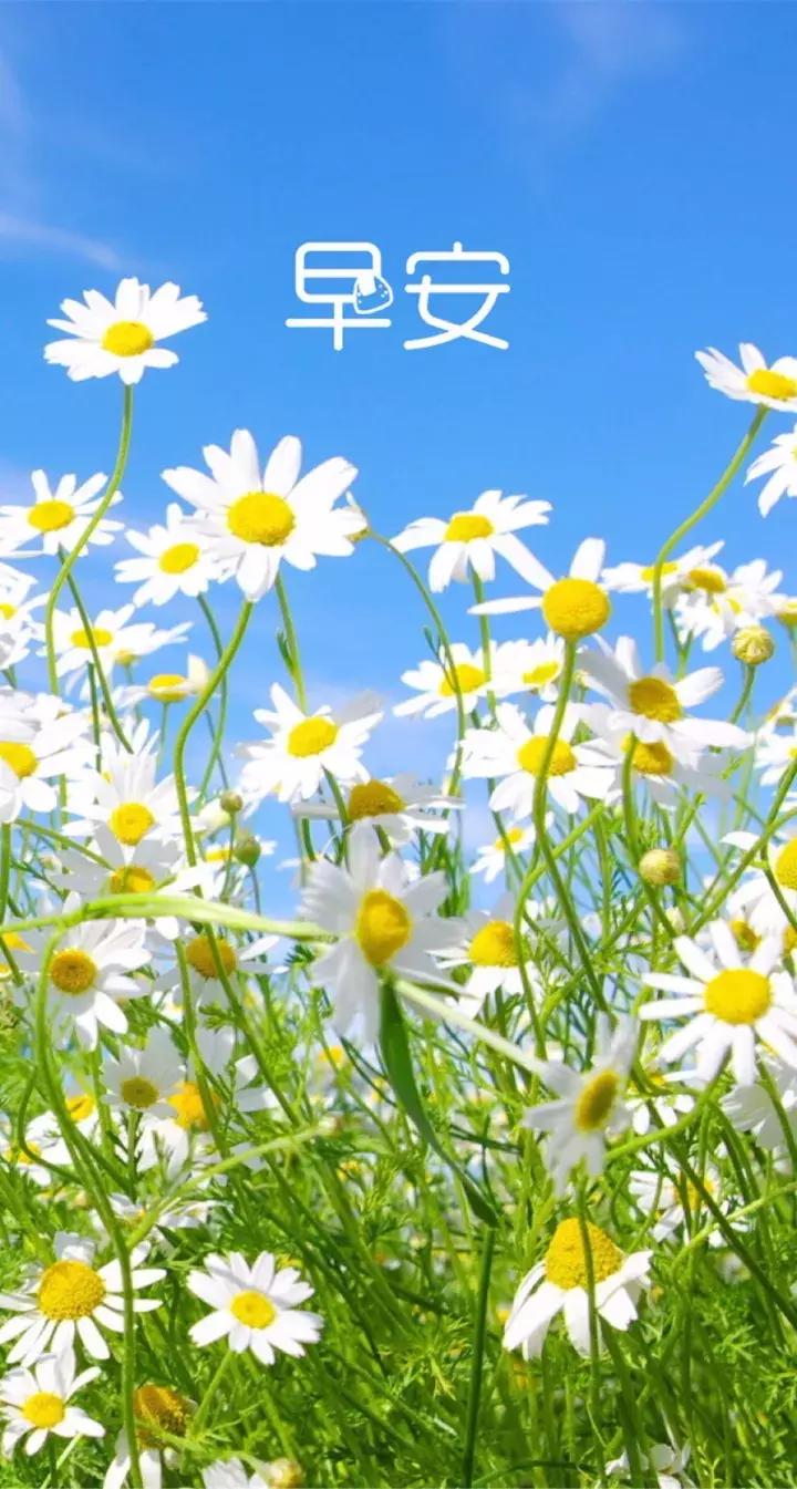 早上好祝福问候语大全简短一点,早上好问候语早安祝福
