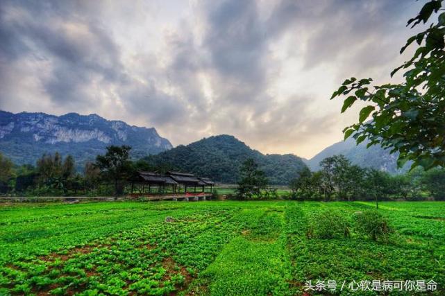 坝美世外桃源简介,坝美世外桃源旅游怎么样