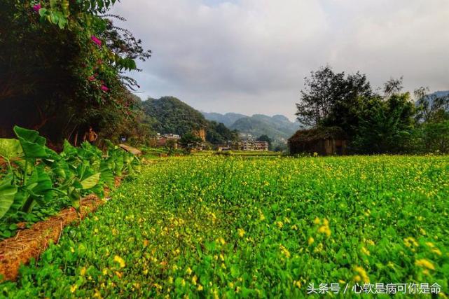坝美世外桃源简介,坝美世外桃源旅游怎么样