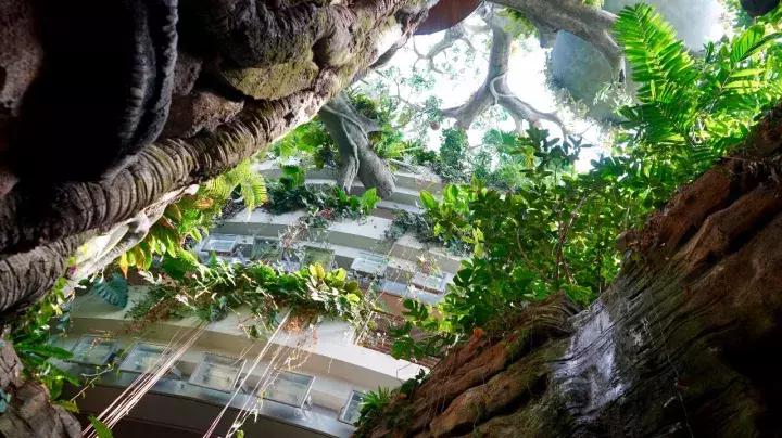 刺激害怕的游乐项目,必去的主题乐园