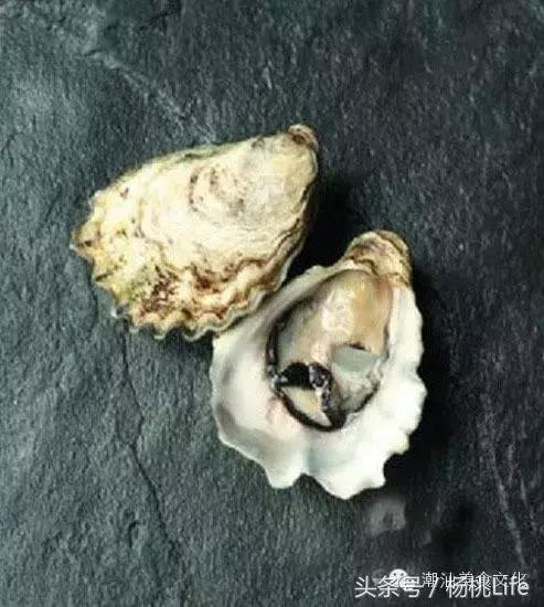 生蚝知识全攻略,蚝门盛宴99块100个生蚝