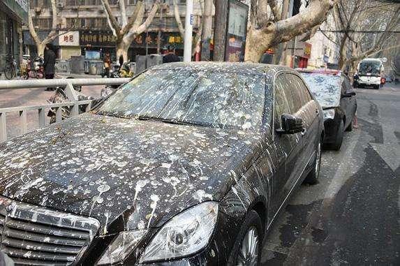 洗车内幕,洗车行业的内幕