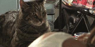 买不起的毛线球,8万7的tiffany毛线球