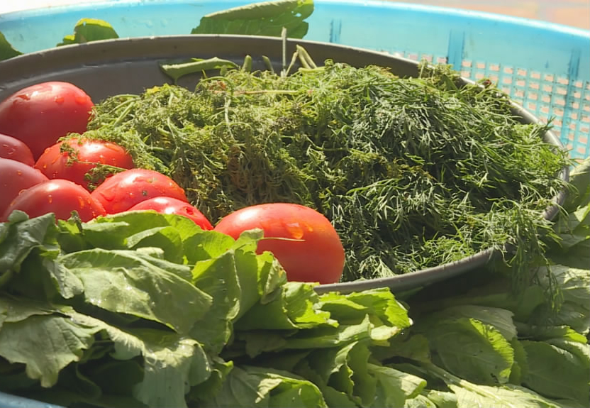 吃咋样？丰盛，健康，营养。舌尖上的保障，越南*队军**做得到，为啥