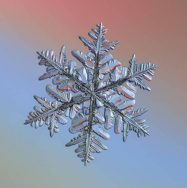 摄影最美人物照片,摄影人的第一张照片