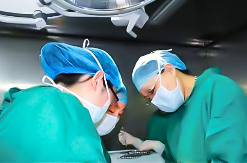 怀揣大医梦想的妇产科主任蒋芸:“金杯银杯不如患者的口碑”