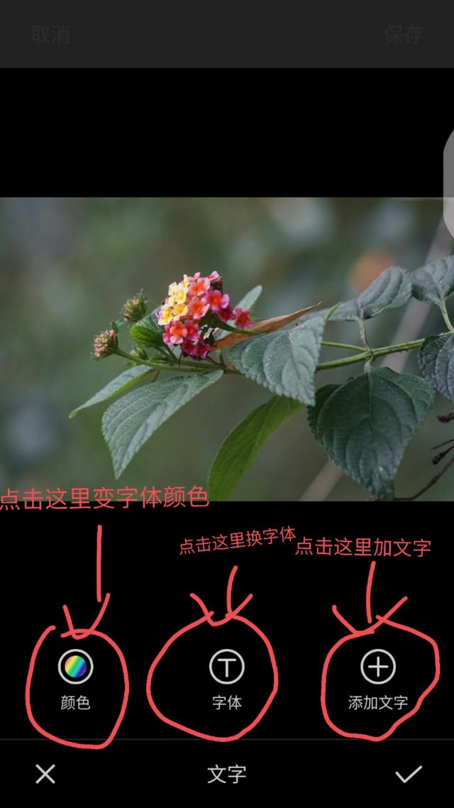 怎么在手机照片上加上时间日期,手机照片上怎样加日期和地址