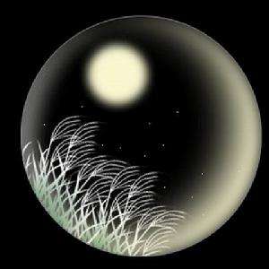 但愿人长久千里共婵娟背后的意思,但愿人长久共婵娟的婵娟什么意思