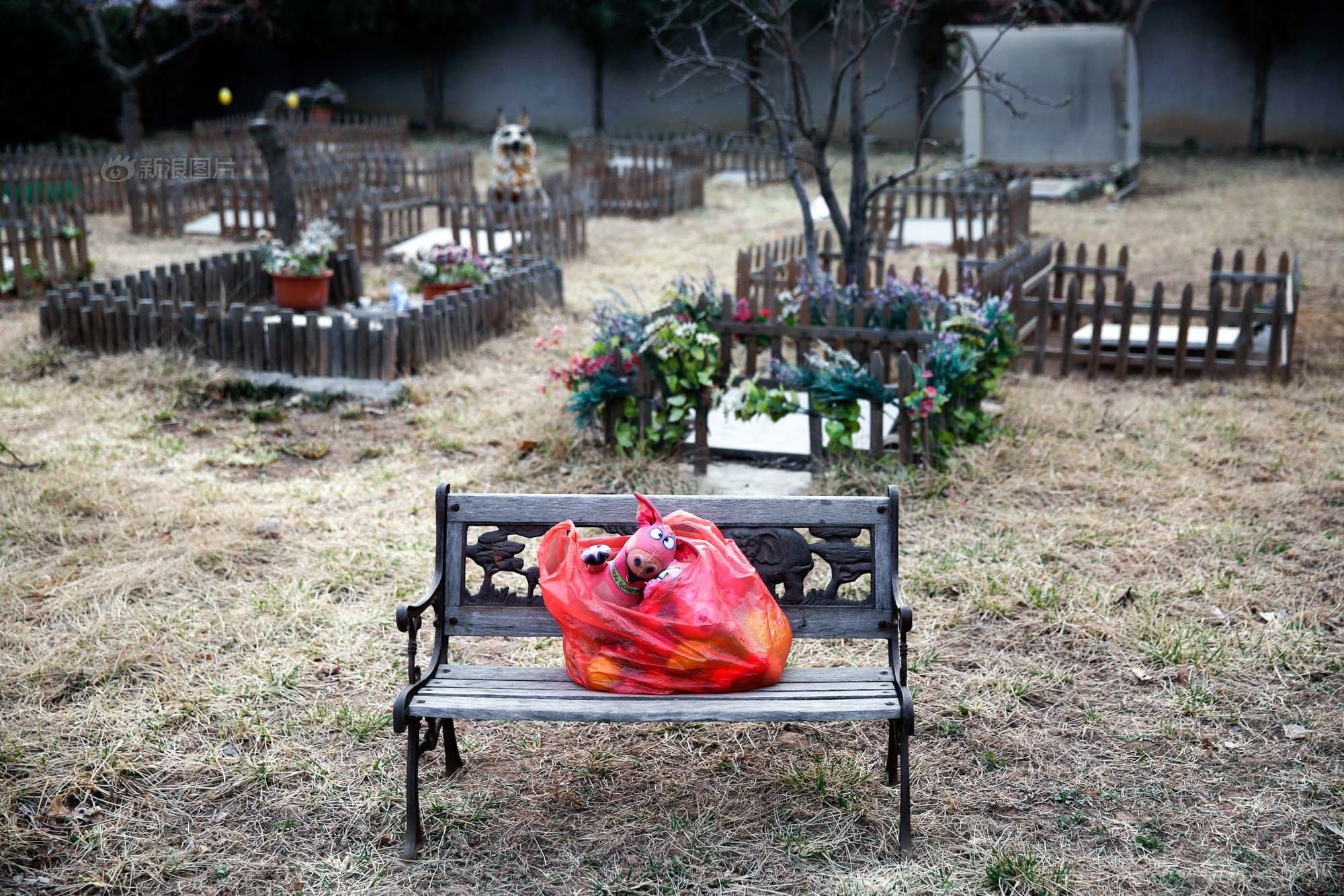 你会花1000元给宠物做殡葬吗,给宠物办葬礼你怎么看