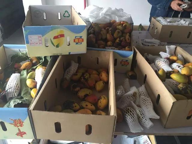 水果微商可以做什么生意,水果微商如何赚钱快