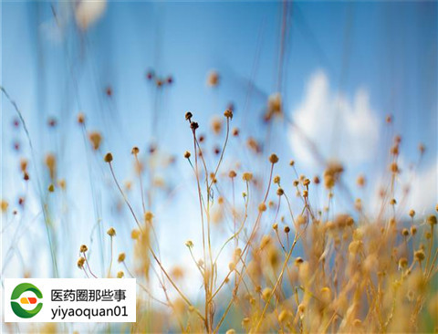 药店跨过”5个坑”，触手拥抱“互联网+”