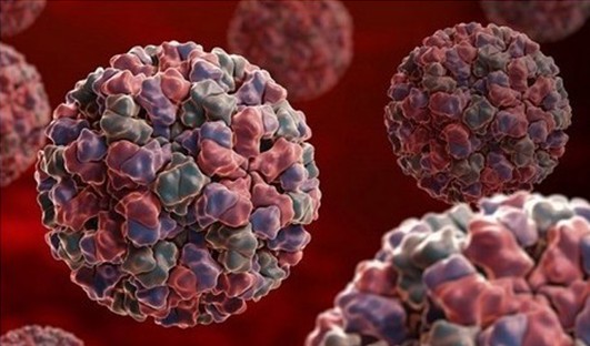 孩子先天人格缺陷,孩子生来的缺陷