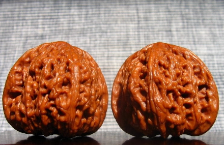 文玩核桃上油的最好方法,文玩核桃该怎么上油