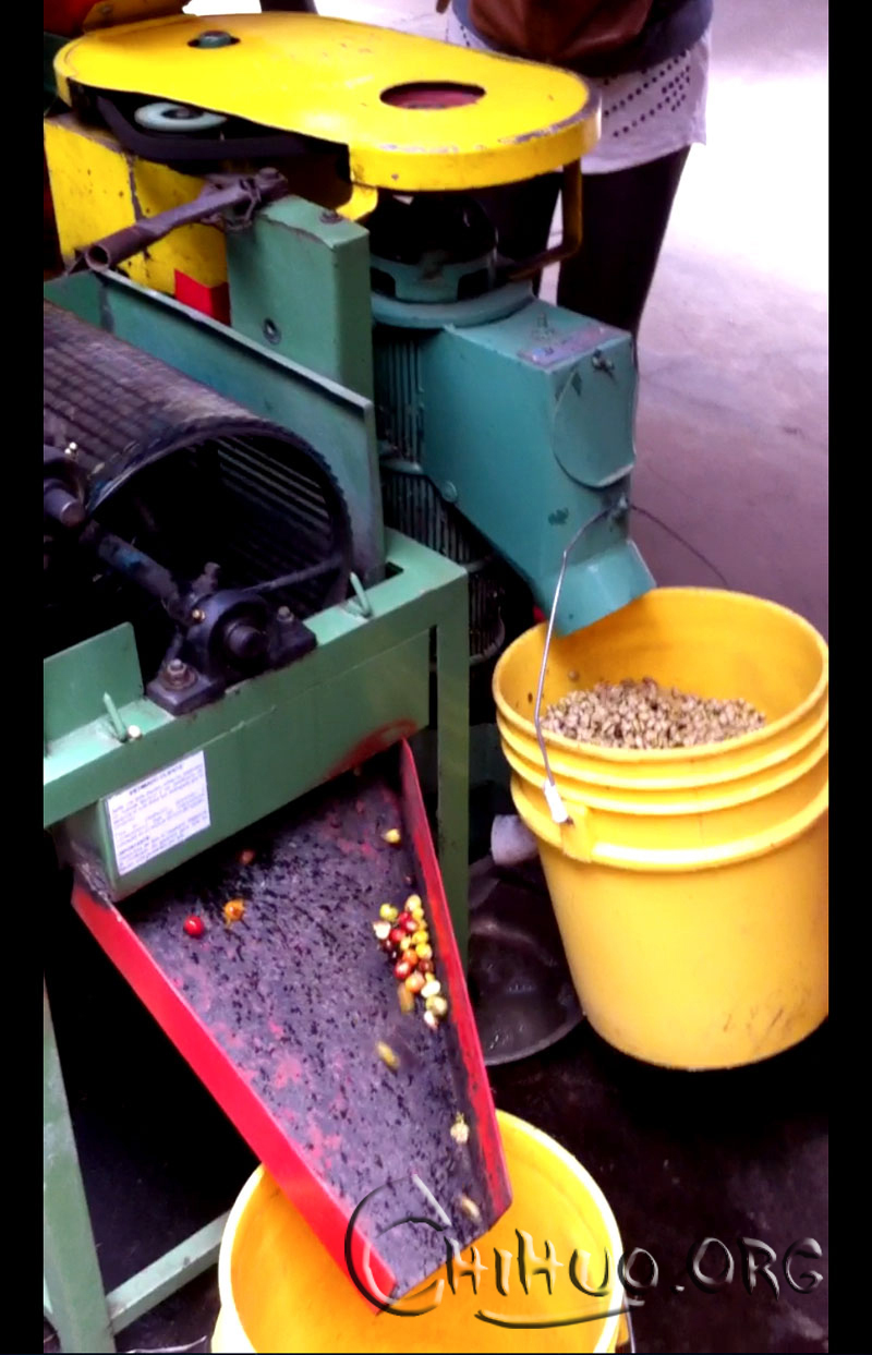 看看咖啡豆要如何才能成为星巴克爸爸