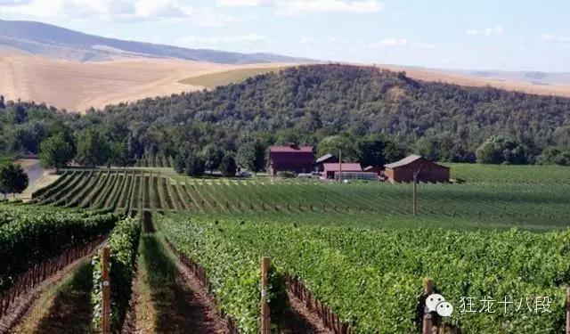 著名雷司令,雷司令世界排名