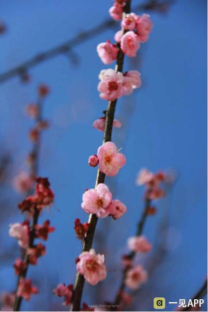 你是我错过的友情还是爱情,你是我错过的美丽