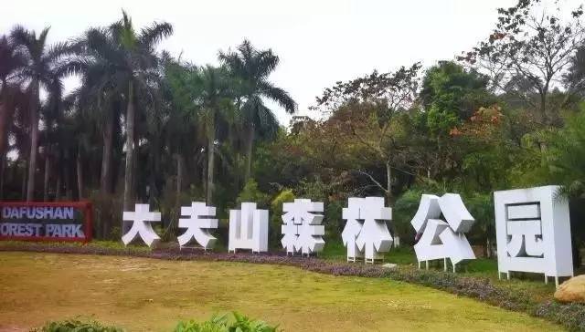 广州地铁线路图建议收藏,收藏各地地铁