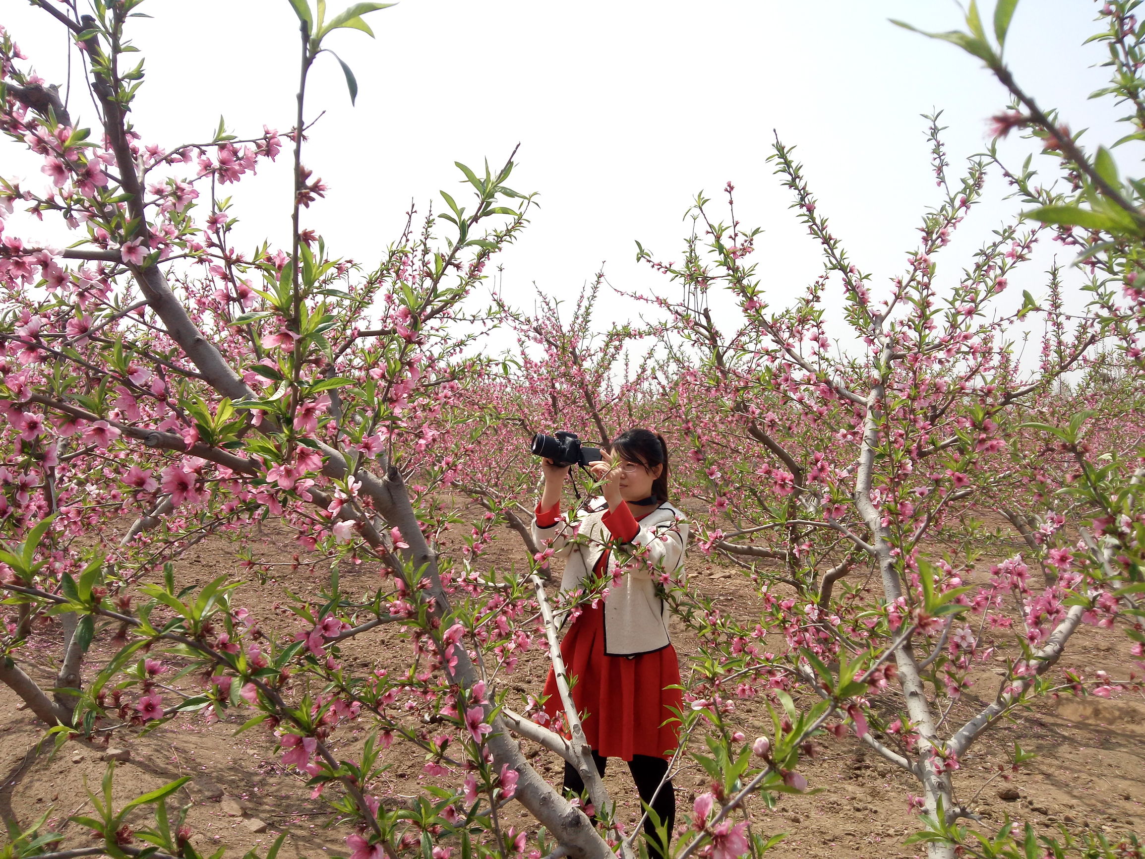 郑玄故里,灵秀小镇,峡山一颗靓丽的明珠。