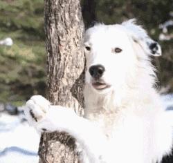 如何在大学期间长高5cm？