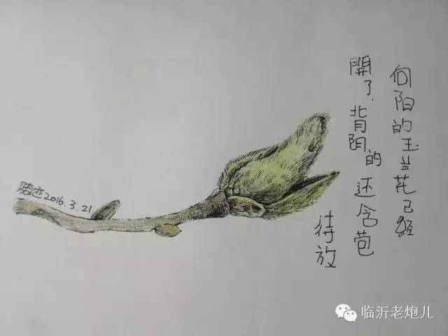 带上手鼓去旅行,带着旅行箱去旅行绘画