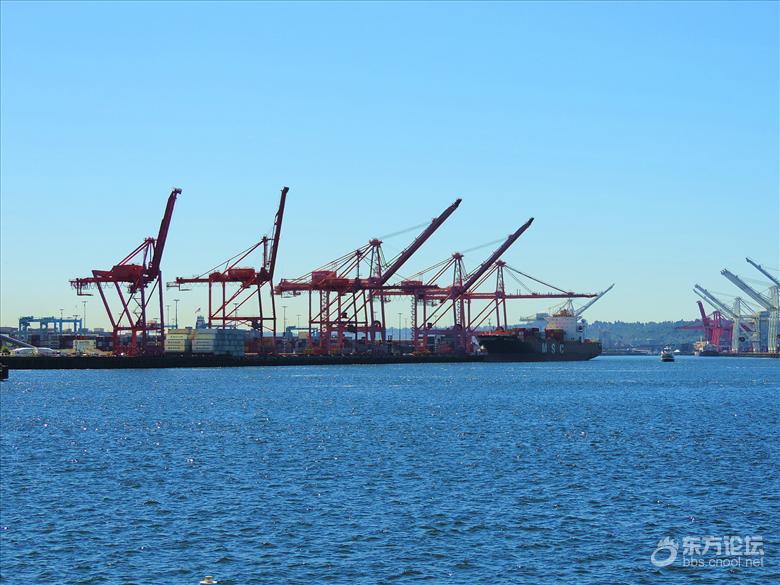 西雅图油价,西雅图油价多少钱