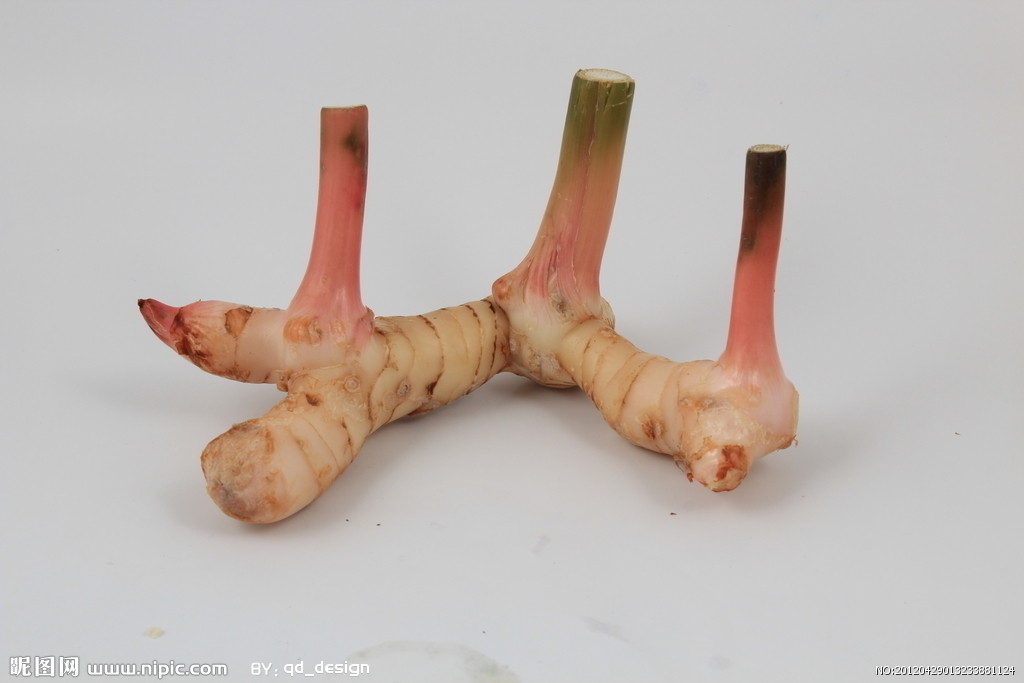 东南亚咖喱用什么香料,咖喱到底是个什么味道