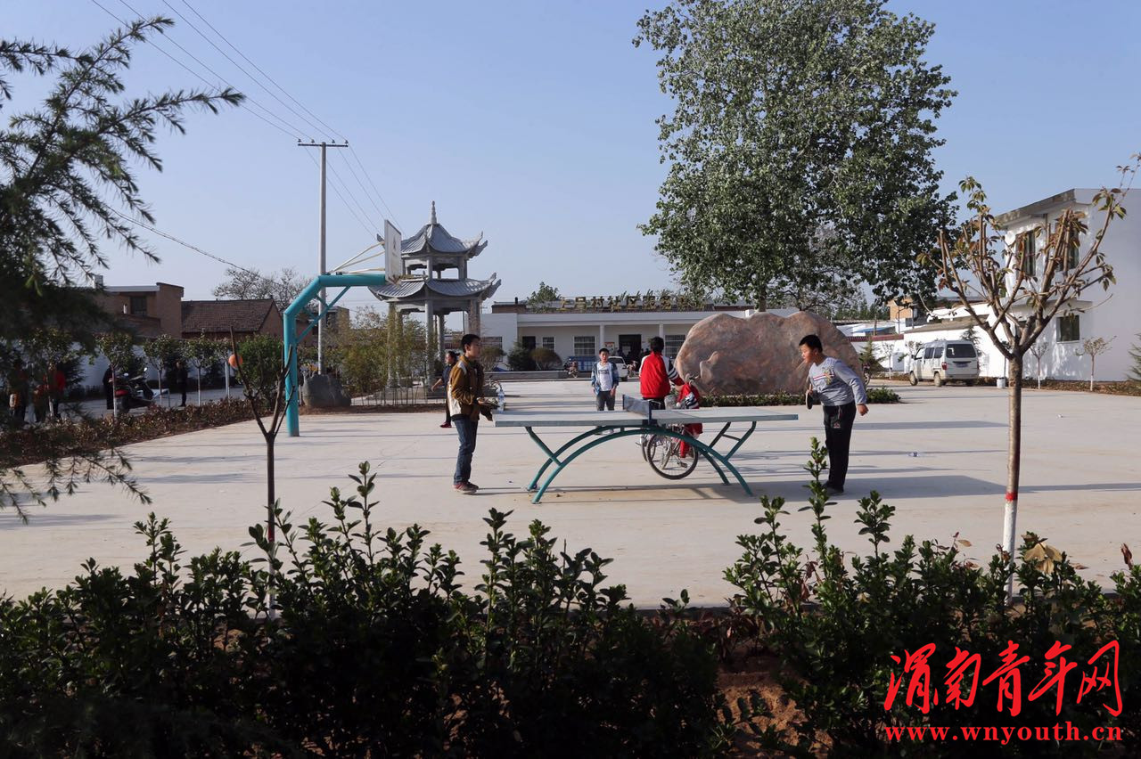 大荔县许庄镇美丽乡村,大荔县许庄镇全景图