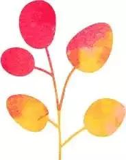 一个导游的成长之路,一个导游的自我修养