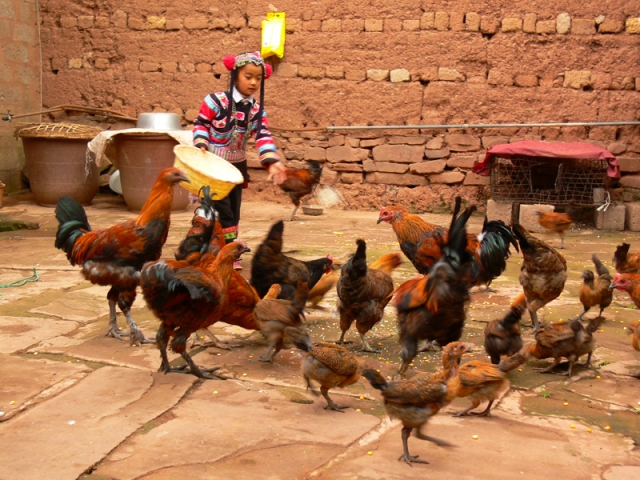 武定县珠宝,武定县银器