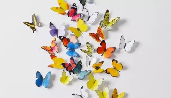 FIN见｜同是线下理财，为什么诺亚品牌起来了，金鹿却倒下了