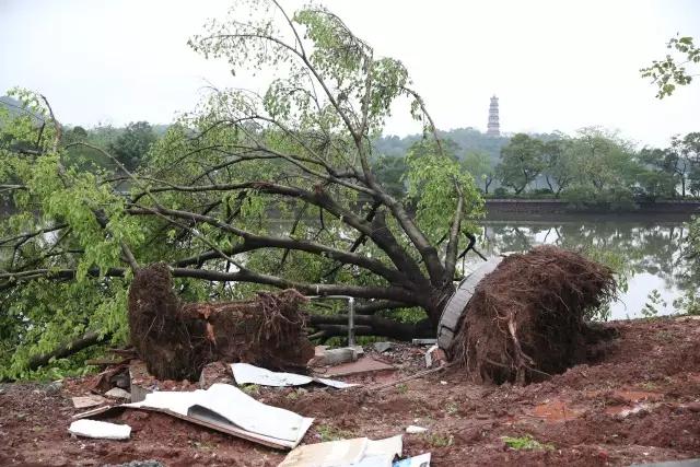 惠州天空出现奇幻景象,广州雨后现海市蜃楼