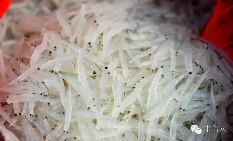 那些不认识的海鲜小干货,超级干货2022