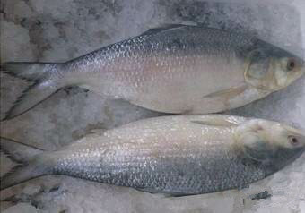 那些不认识的海鲜小干货,超级干货2022