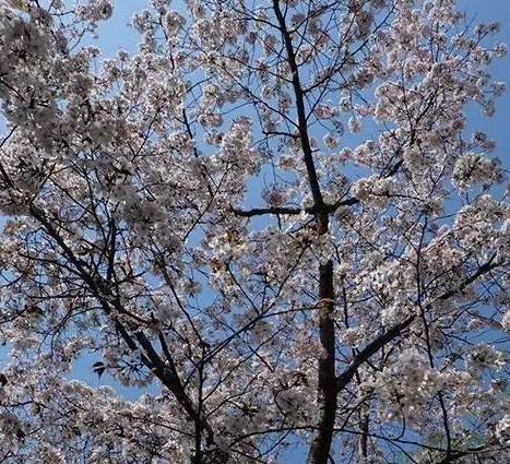 患近视眼是一种什么样的体验？