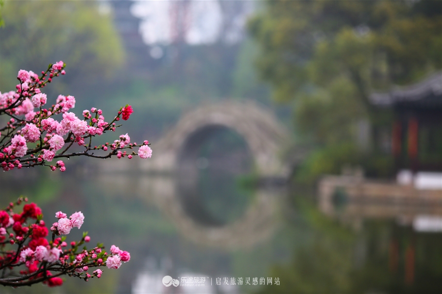 太仓南园游记,烟雨江南太仓一日游