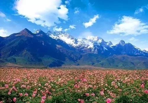 丽江惊现国内第一个彩色村!美的太不像话,像童话!