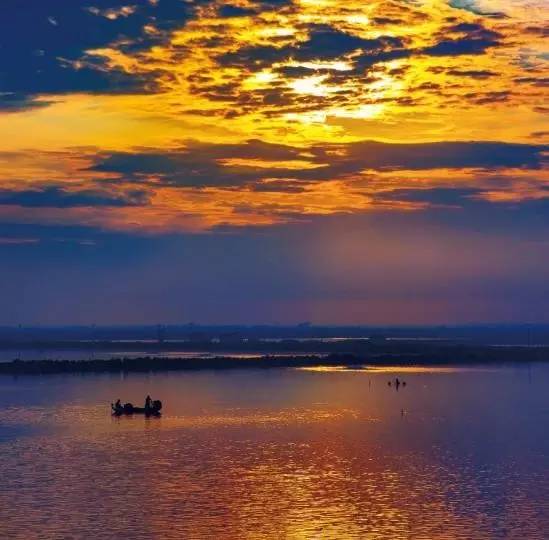 经营|从2500亩到2.2万亩，看江苏农垦东辛水产的崛起之路