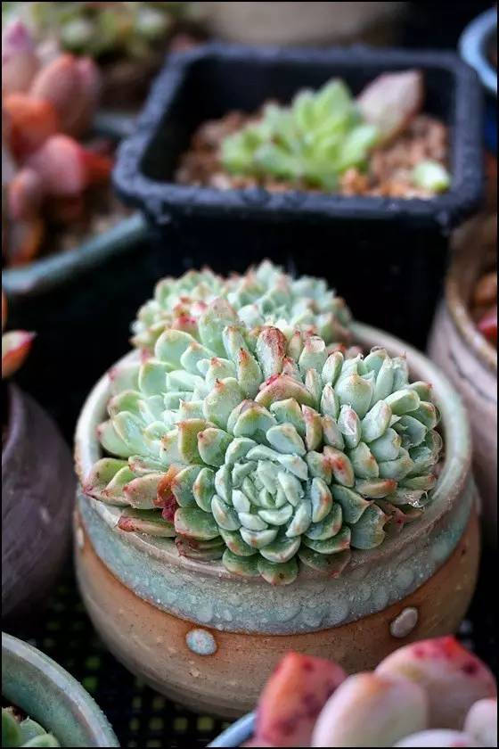 直播间不退不换的韩货,未来直播带货会持续红火吗