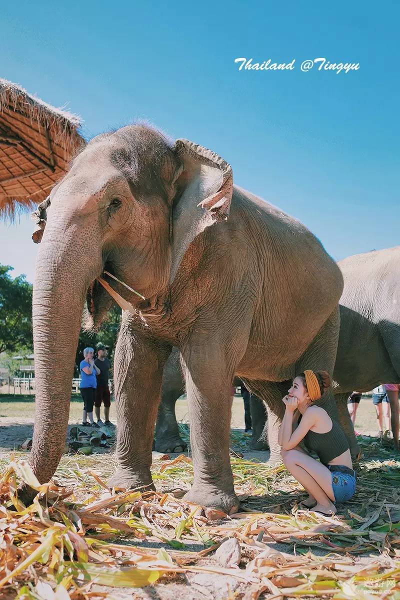 旅游攻略泰国免费,攻略带你了解最美的泰国景点