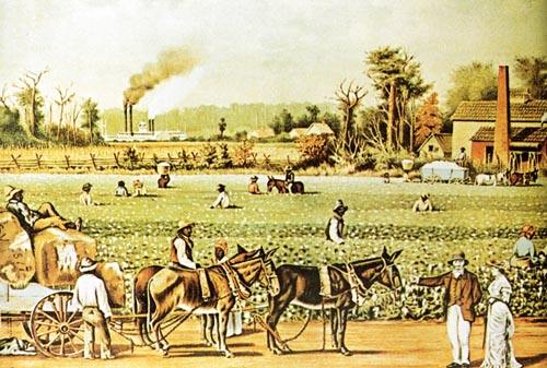 英国取代西班牙的殖民霸主地位,英国殖民地为何不在南美广泛殖民