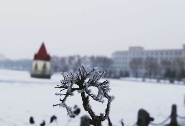 哈尔滨师范大学介绍,哈尔滨师范大学百科介绍