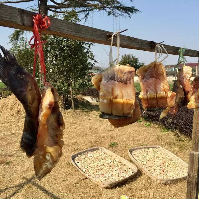 上海周边吃喝玩乐推荐,上海周边自驾游旅游农家乐推荐