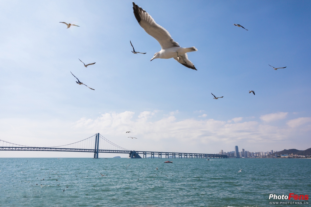 带上跑鞋去旅行,带着马去旅游的车