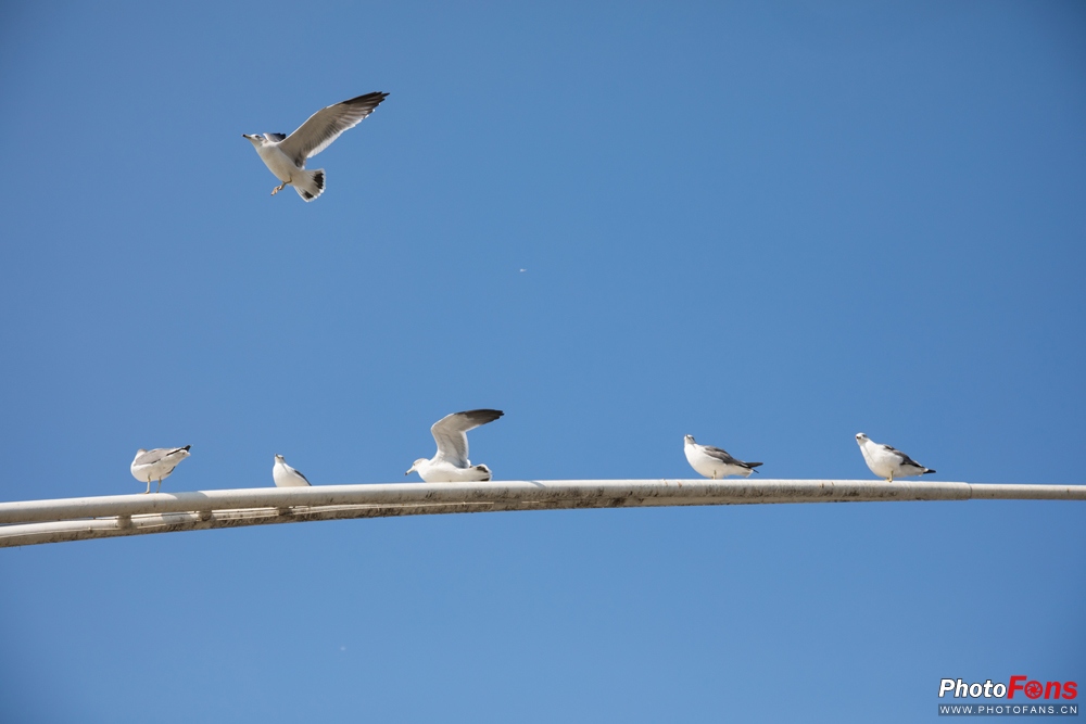 带上跑鞋去旅行,带着马去旅游的车